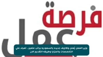 وزير العمل يُعلن وظائف جديدة بالسعودية براتب متميز.. تعرف على التخصصات والمزايا وطريقة التقديم الآن